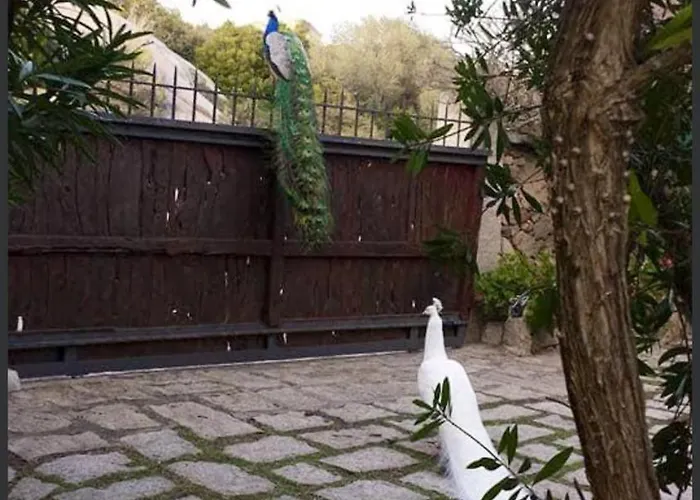 Seaside In + Shared Pool 别墅 *